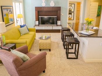 Living area  at the chapman apartments